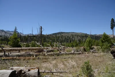 DSC_3760 (Large).JPG